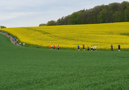 342543193 552236280267468 2014404290002655574 n