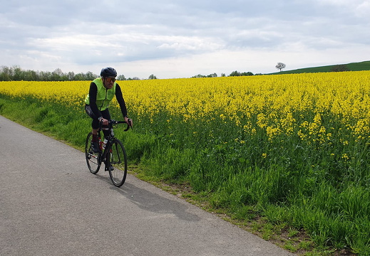 342601442 526242212855546 7174713082093495022 n