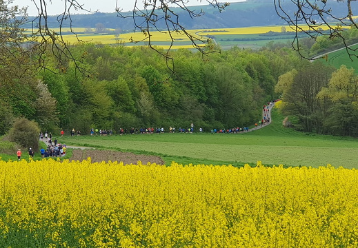 342860929 188287414096288 7780928420933747822 n