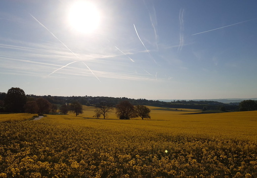 5cb01ec9-13ce-4521-9c31-40c0b3d33067