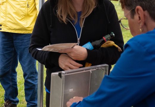 20250922 085609 wb A6400 DSC08864 cr